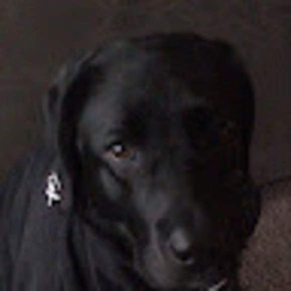 Meet your Posher, Katherine - Picture 1 of 1